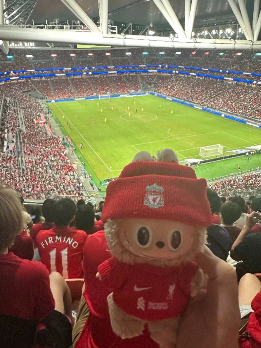 Football Jersey for Labubu