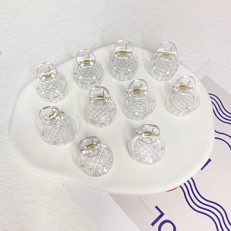 Mini Clear Jaw Clips for DIY
