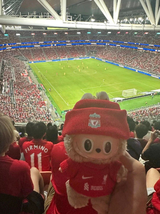 Football Jersey for Labubu